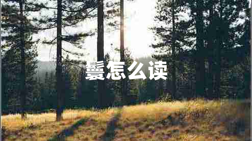 鬟怎么讀
