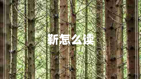 靳怎么讀