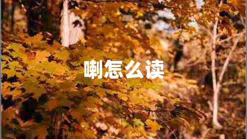 喇怎么讀