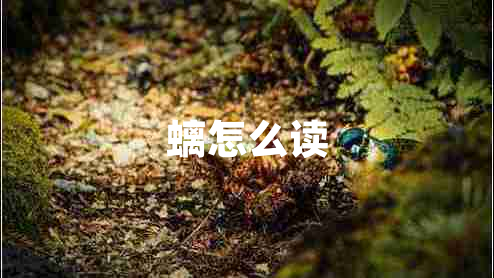 螭怎么讀