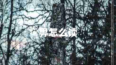 畀怎么讀