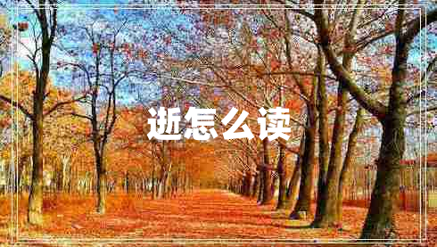 逝怎么讀