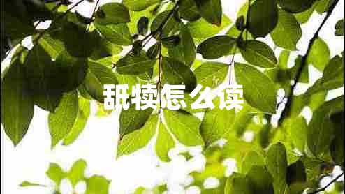 舐?tīng)僭趺醋x