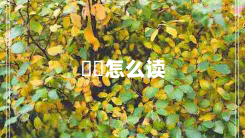 曱甴怎么讀