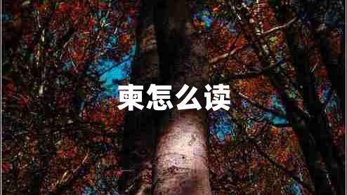 柬怎么讀