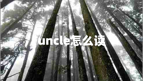uncle怎么讀
