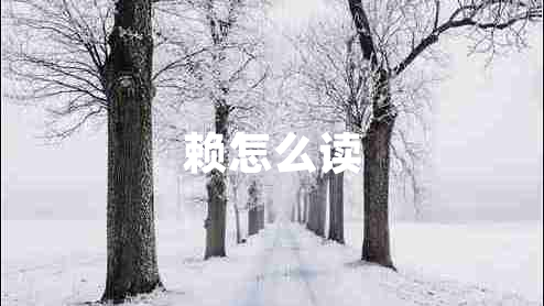 賴怎么讀