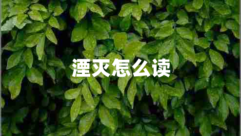 湮滅怎么讀