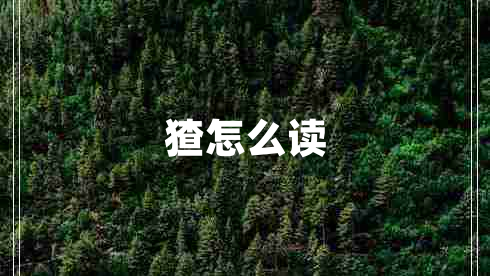 猹怎么讀