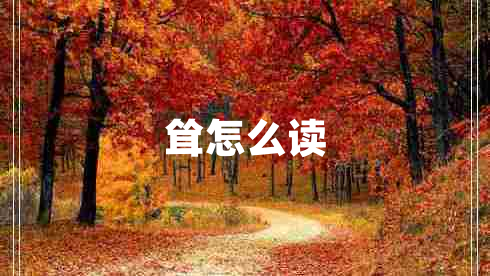 聳怎么讀