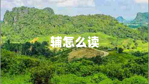 輔怎么讀