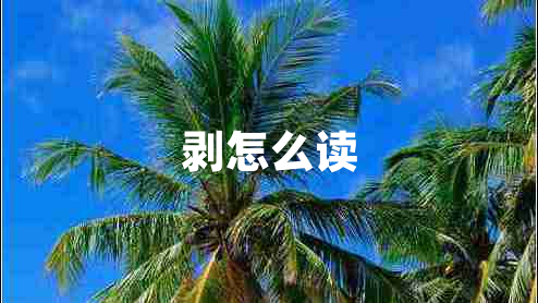 剝?cè)趺醋x