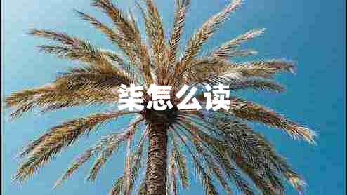 柒怎么讀