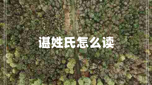 諶姓氏怎么讀