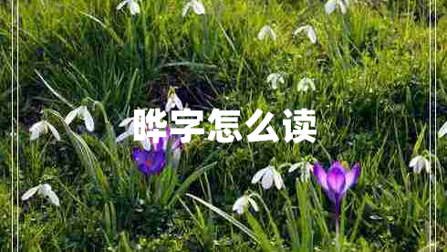 曄字怎么讀