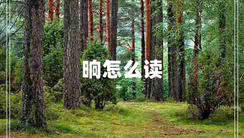 晌怎么讀