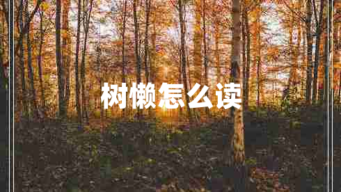 樹(shù)懶怎么讀