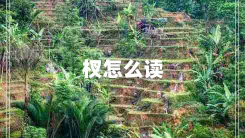 杈怎么讀