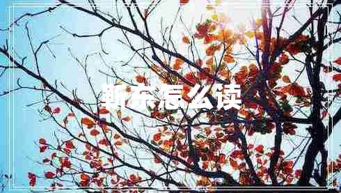 靳東怎么讀