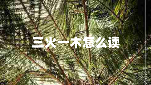 三火一木怎么讀