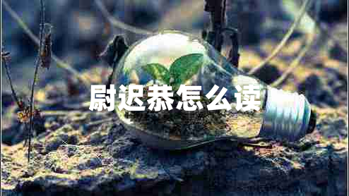 尉遲恭怎么讀