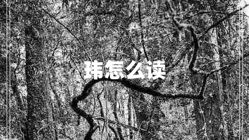 瑋怎么讀