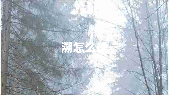 溯怎么讀