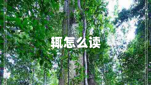 輒怎么讀