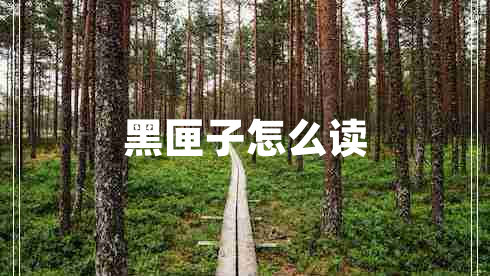 黑匣子怎么讀