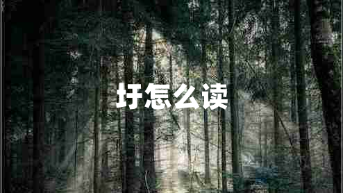 圩怎么讀