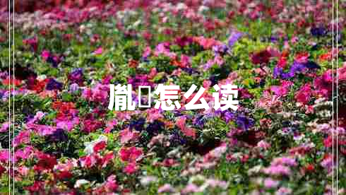胤礽怎么讀