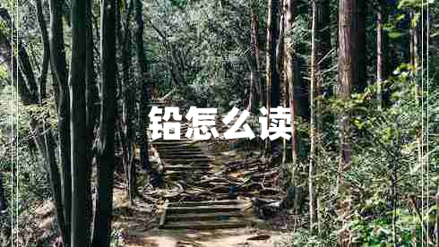 鉛怎么讀