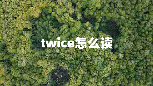 twice怎么讀