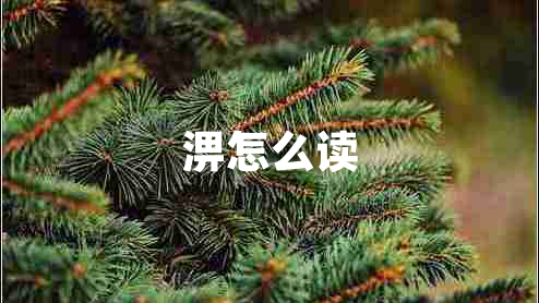 淠怎么讀