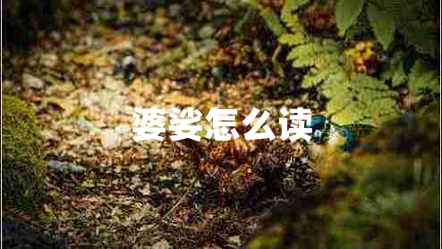 婆娑怎么讀