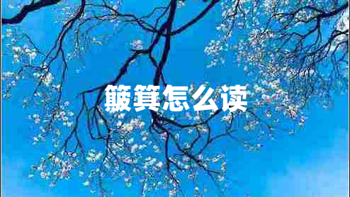 簸箕怎么讀
