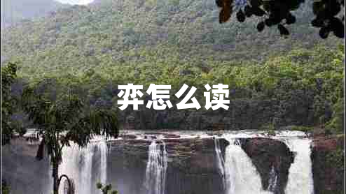 弈怎么讀
