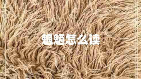 魍魎怎么讀