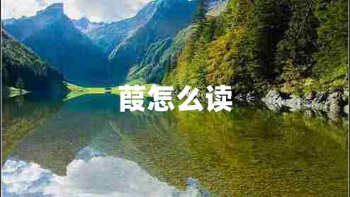 葭怎么讀