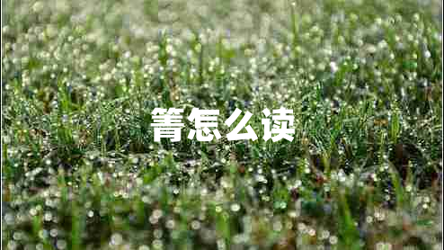 箐怎么讀