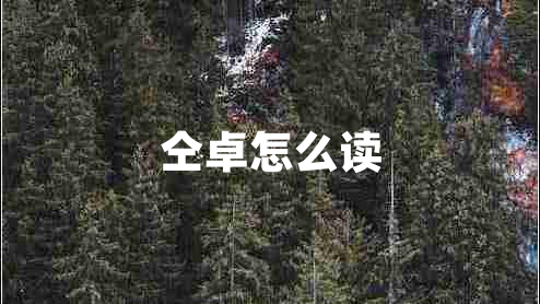 仝卓怎么讀