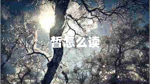 皙怎么讀