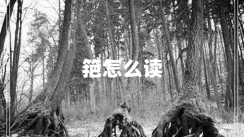 筢怎么讀
