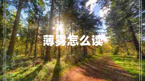 薄霧怎么讀
