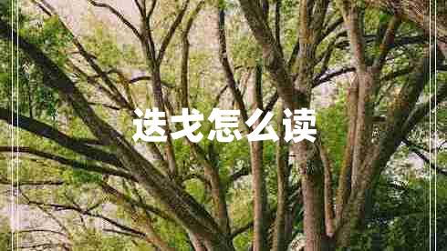 迭戈怎么讀