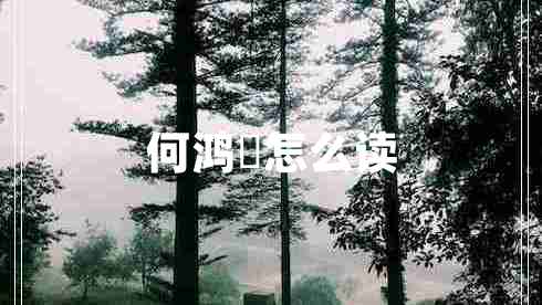 何鴻燊怎么讀
