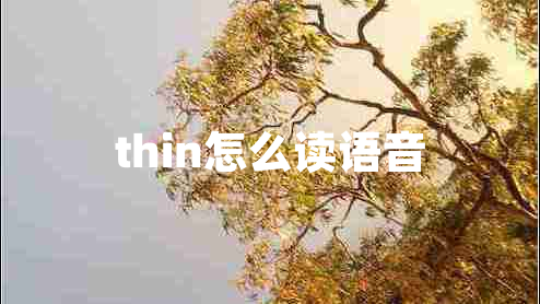 thin怎么讀語(yǔ)音