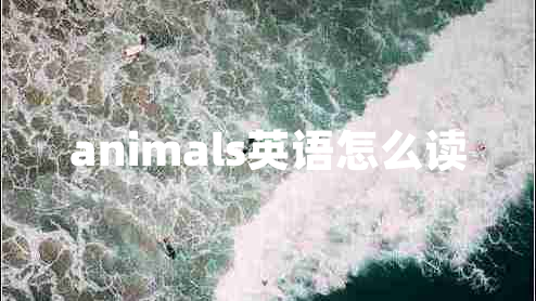animals英語(yǔ)怎么讀