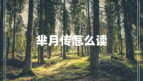 羋月傳怎么讀