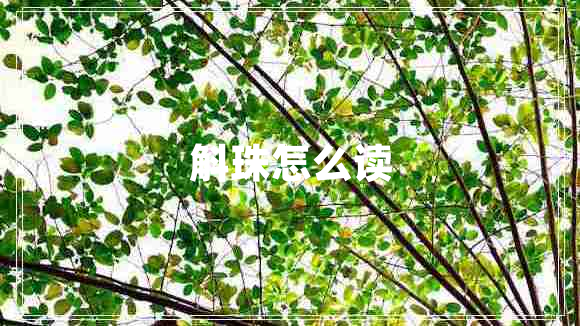 斛珠怎么讀